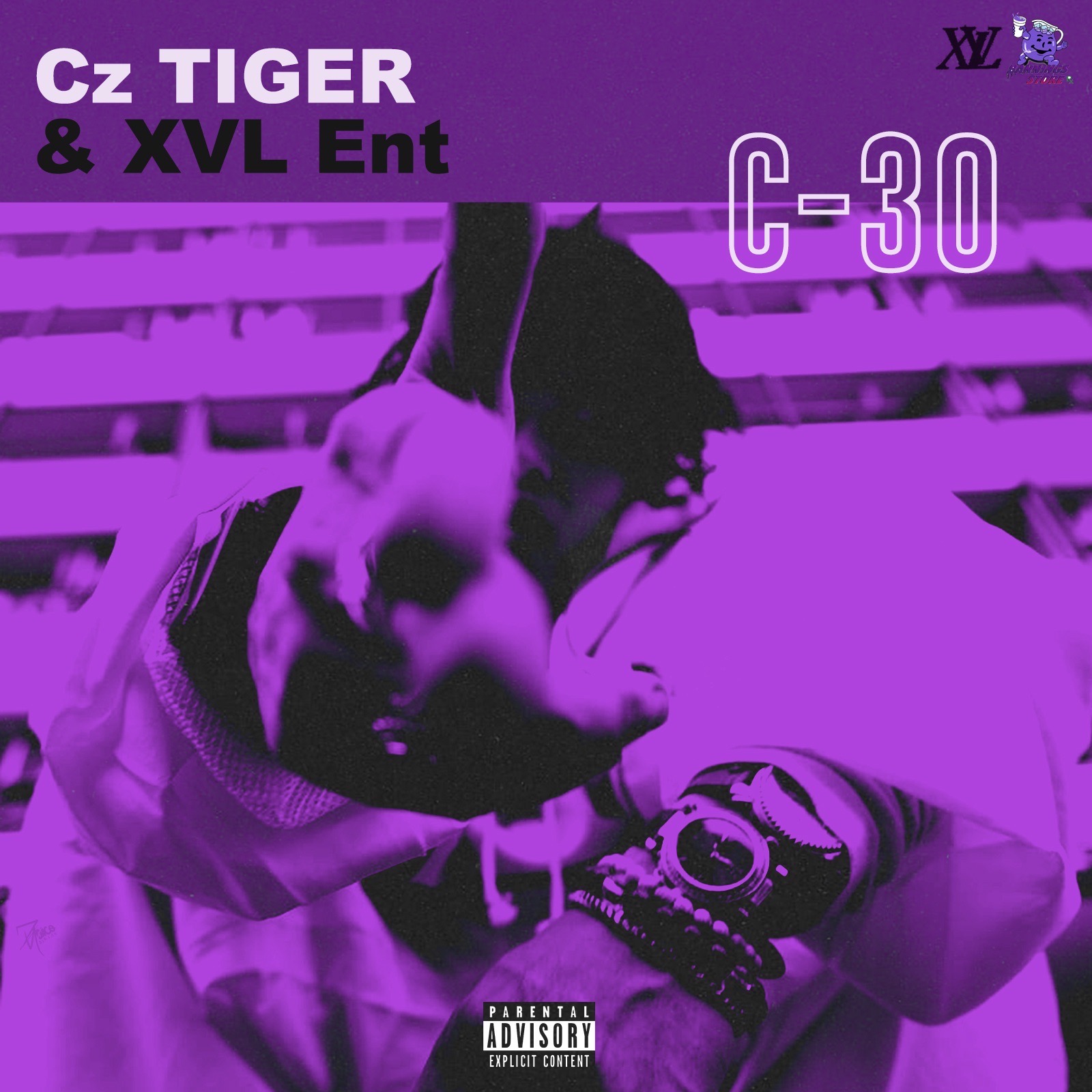 CZ TIGER C-30