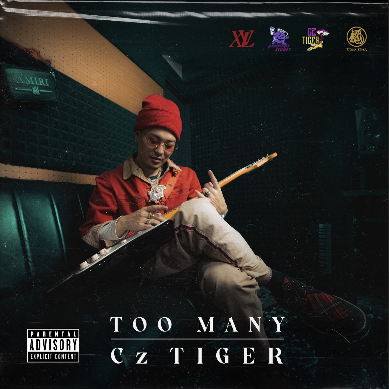CZ TIGER TOO MANY