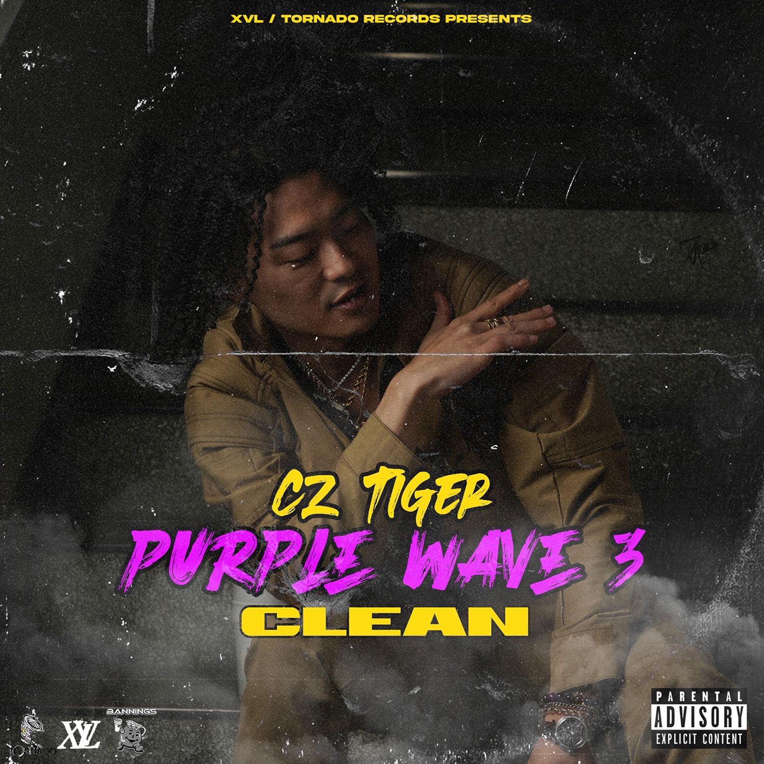 CZ TIGERのアルバムPURPLE WAVE 3 -CLEAN-のジャケット